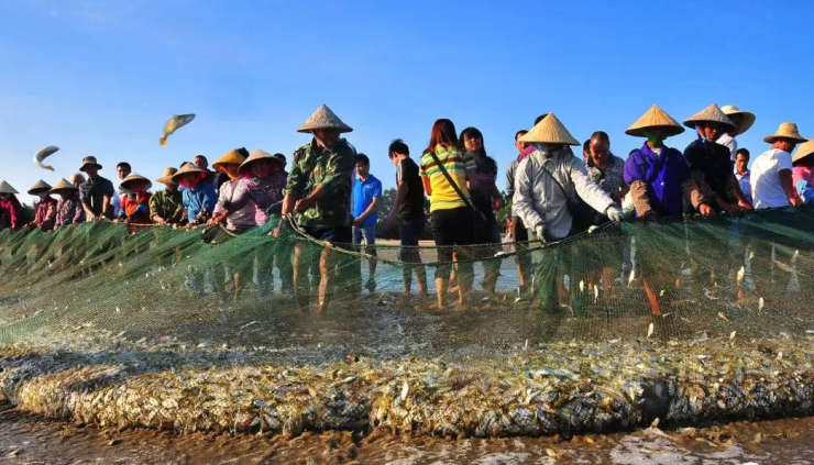 北海恒大御景湾捕鱼盛宴赶海狂欢这波开海活动千万别错过