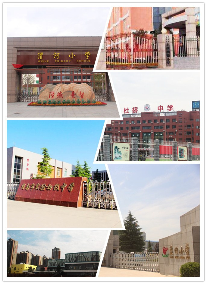 渭河小学,丰荫明德小学,盈田小学,乐天小学,杜桥中学,实验初级中学等