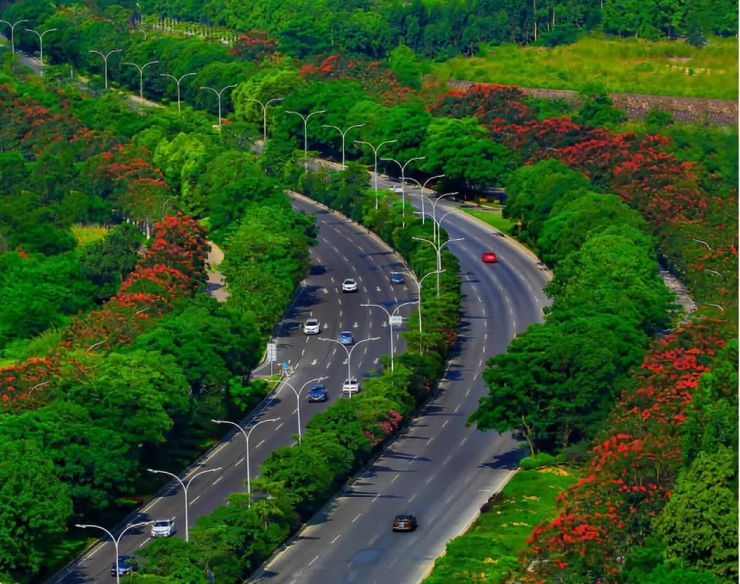 一条超美观光公路走红!沿途山林环绕,美不胜收!在哪儿?