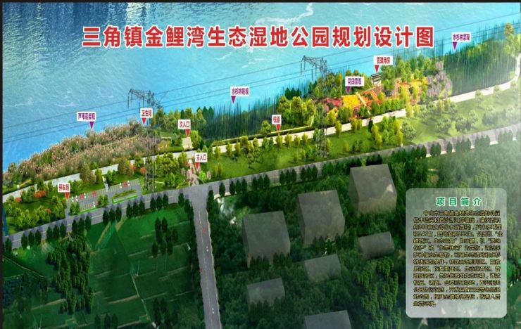 今年的政府工作报告和十件民生实事 都提到一个地方 "金鲤湾生态湿地