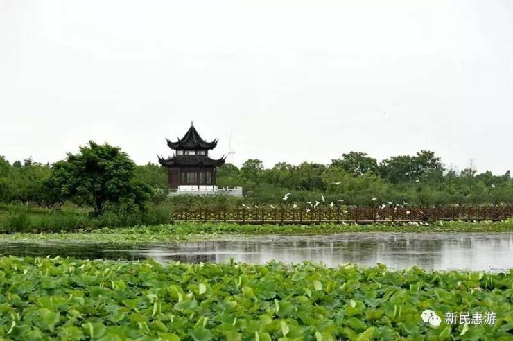 上海海湾国家森林公园位于奉贤区海湾镇,是国家4a级旅游景区,上海最