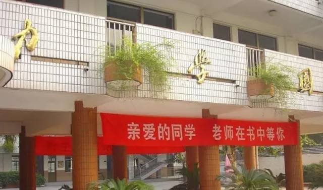2017南京在建中小学大v名校,未来的名校就在这小学生作文小狗的描写图片