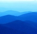 87E79C65CAF13257EE4F69E0D64C7DBD