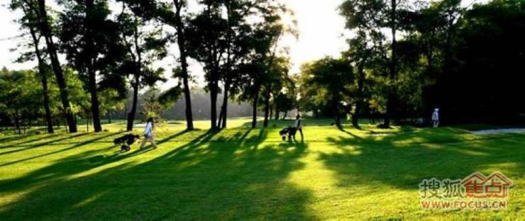 品味生活享受阳光 0e765aa957e21804e5b6b5b4670182e6.jpg