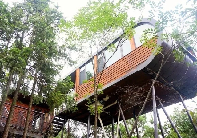 自由家树屋世界11月18日横空开张!有十重惊喜让您嗨到"家"!