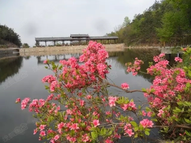 待到三月桃花烂漫时,更是一处绝美的世外桃园,一个梦幻般的所在就在