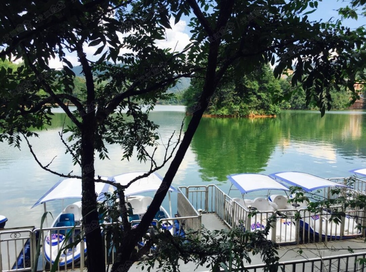 天岛湖最受重庆人喜爱的高端养生避暑房咨询电话15703034062