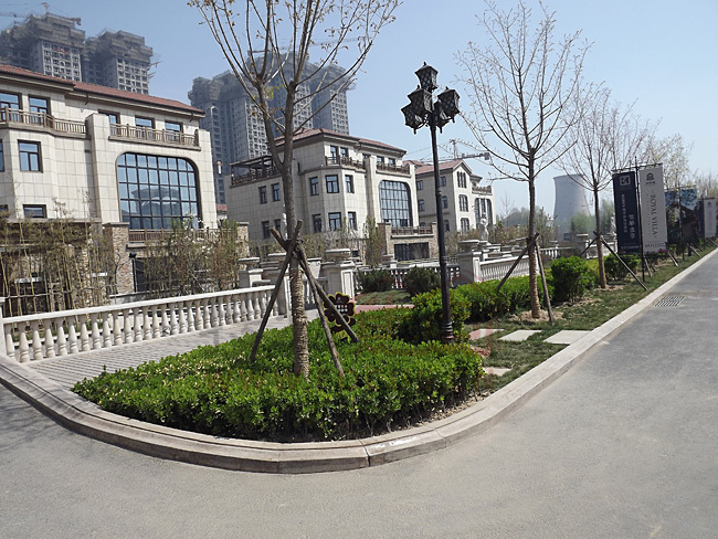 同祥城ab区的满园春色,柳绿花红,以后的家会这般美丽!