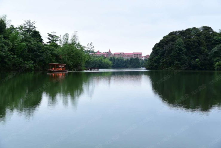 天岛湖最受重庆人喜爱的高端养生避暑房咨询电话15703034062