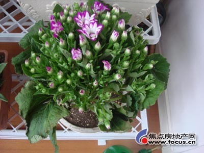 ce89b8dd8d4d464b9b2e03dadf09beed.jpg