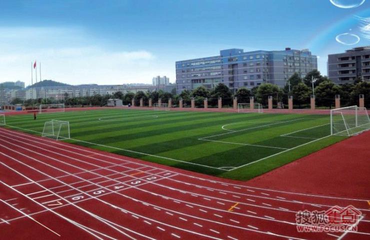 高新博才寄宿小学,桐梓坡小学,长郡中学,麓山国际实验中学……十多数