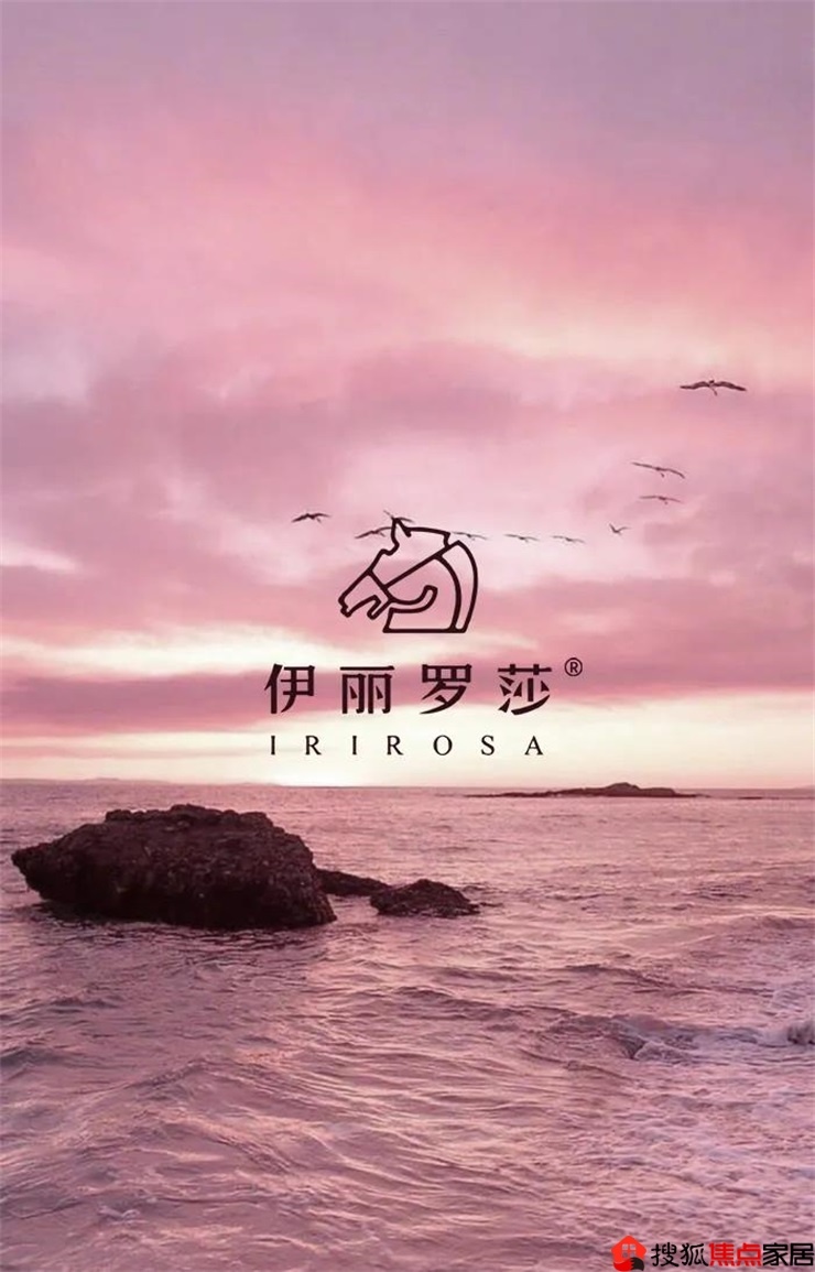 伊丽罗莎品牌：引领潮流的新星