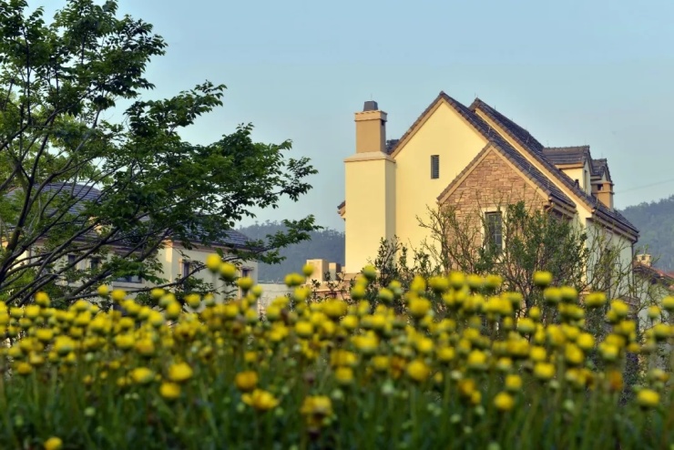 大家橡树庄园定义墅居空间新风尚还原最纯粹独栋别墅
