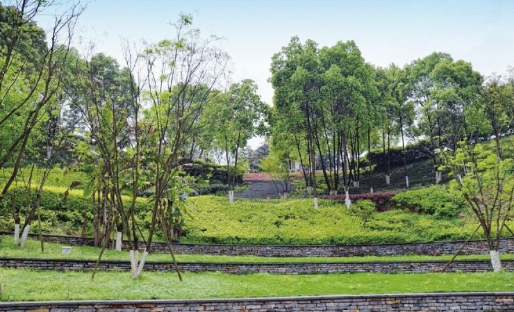 茶园全新城市格局呈现——下一个重庆新中心