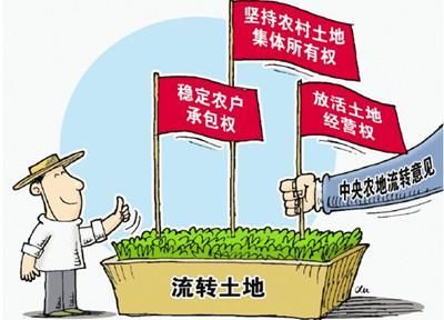 长丰县土地流转态势观察：推动现代农业发展的新趋势