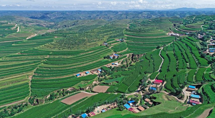 我区划定永久基本农田1400万亩