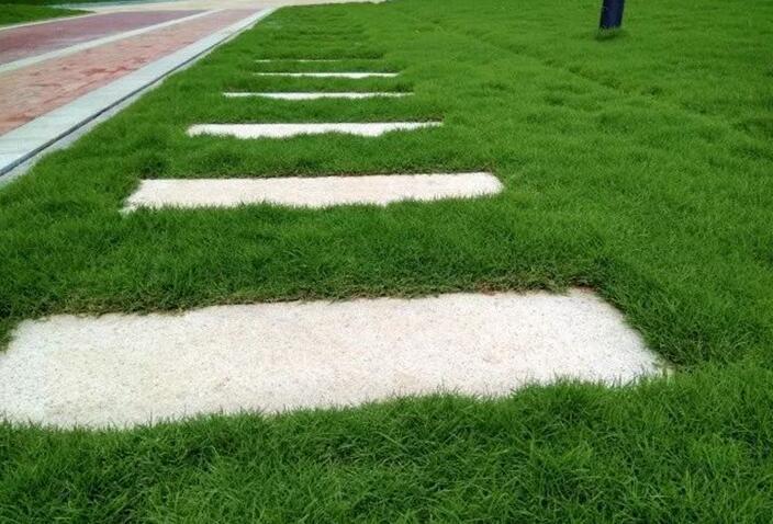 再近些,能够看到草坪包围着条石.