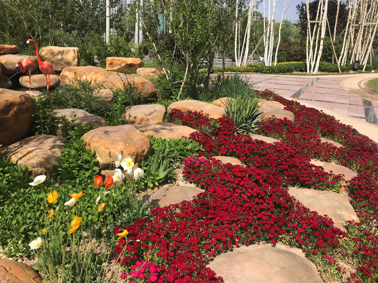 甘肃建投地产百郦湾不可错过的园林之美—50%坡地