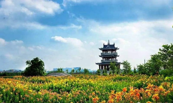 旅遊產業再發力,綠色產業帶動麻涌經濟-東莞搜狐焦點