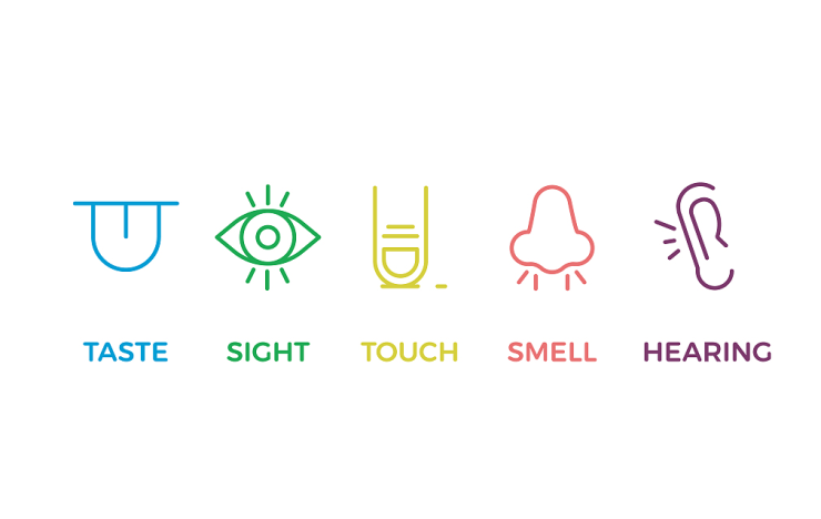 浓荫联排五感全开的舒居体验