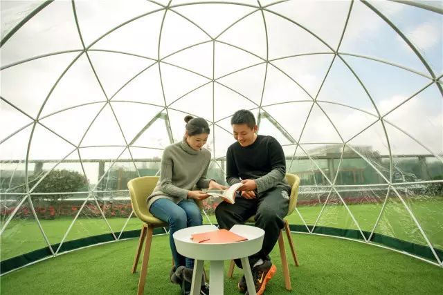 有生命能成长的办公空间是什么样的?