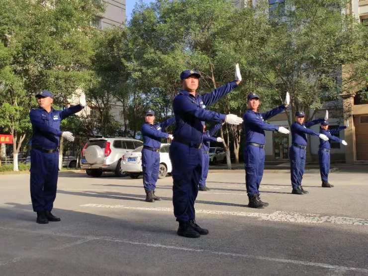 车辆指挥手势,专业化展示齐步与跑步,步伐一致,铿锵有力标准的敬礼