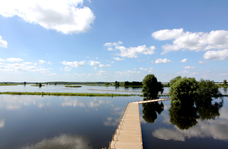 辽河国家湿地公园下月开建 寻找沈北生态盘