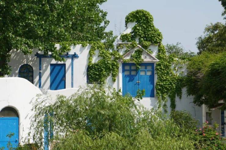 长宁区协和路1号#绿地金庭庄园#绿地金庭幸福里#养老公寓#老年公寓