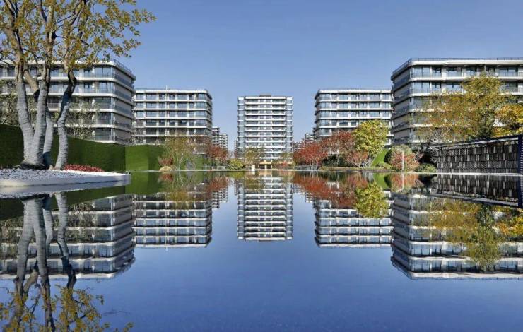 首页绍兴金昌白鹭凤林售楼处直销网站ai看房线上顾问实时解答楼盘详情