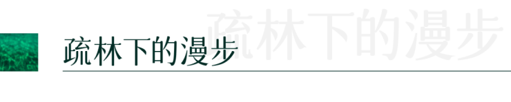 b体育官网万科湖珀隐秀府首页网站丨湖珀隐秀府欢迎您丨湖珀隐秀府楼盘详情价格周边(图2)