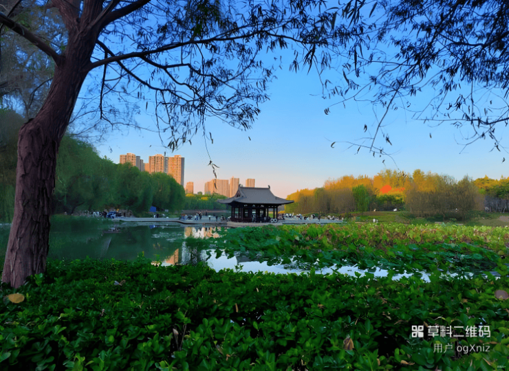 2026郑州新房市场政策一览【通派龙湖御潮云上】最新楼盘资料包-户型图-实景图-样板间视频(图7)