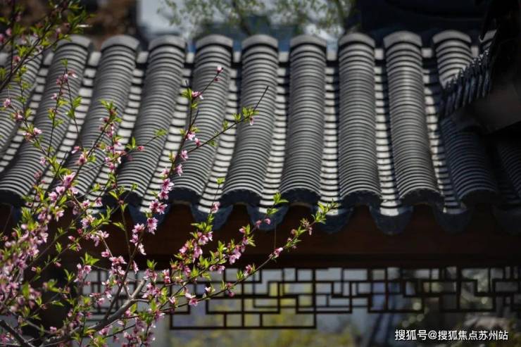 绿城桃源里贵在自然纳藏四季与风光(图5)