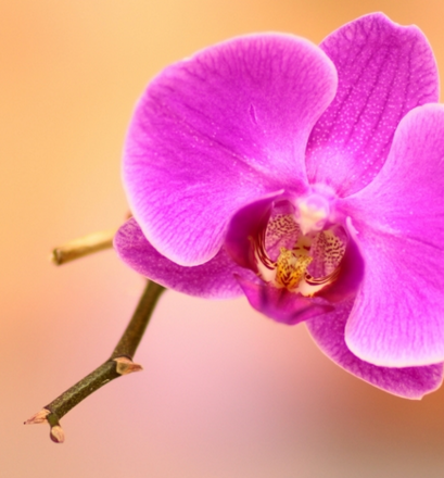 6d349475-38bb-4a6b-bf75-623580d77ecb.png