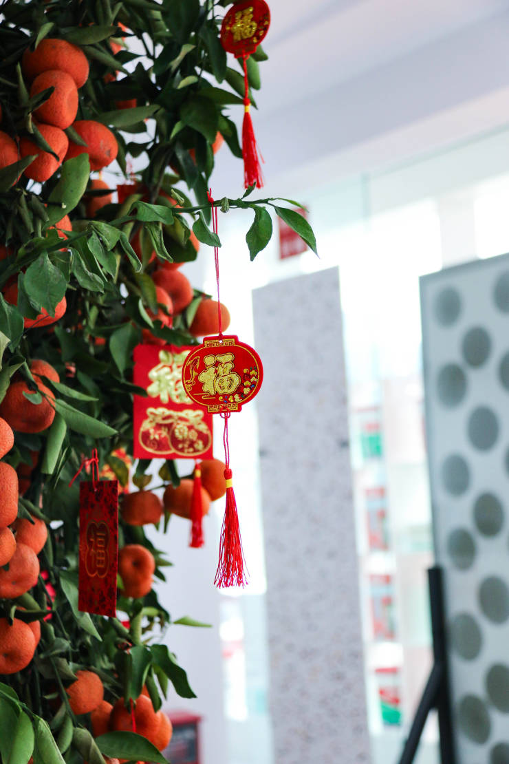 醒獅啟市 鴻運當頭,唐姆龍年開工大吉,煥發新春活力