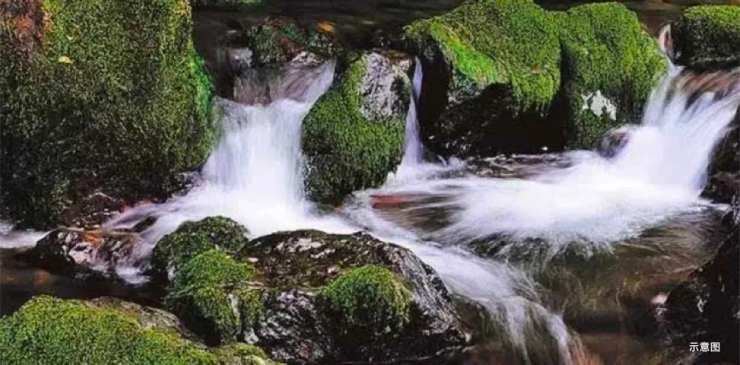 22清凉避暑之水篇农夫山泉兴隆水源地又双叒震撼出镜