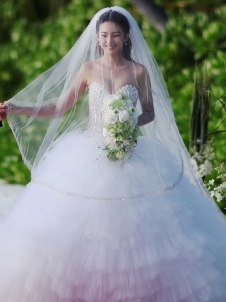 梦幻婚纱 张雨绮王全安马尔代夫举行婚礼(图)