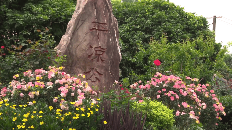 桐安里售楼处官方网站 - 桐安里销售中心 - 环境户型价格地址楼盘详情配套电话交房时间售楼处电话(图14)