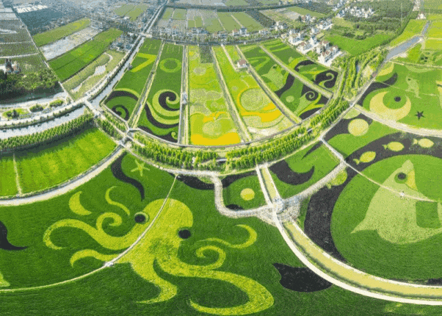 绿地长岛(崇明绿地长岛)售楼处电话_房价_房型图_户型图_交通地铁