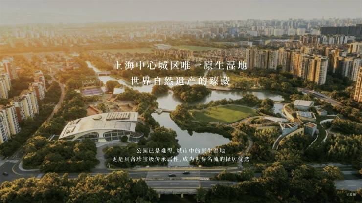 上海首个「会呼吸的四代墅」高定样板间公开(图2)