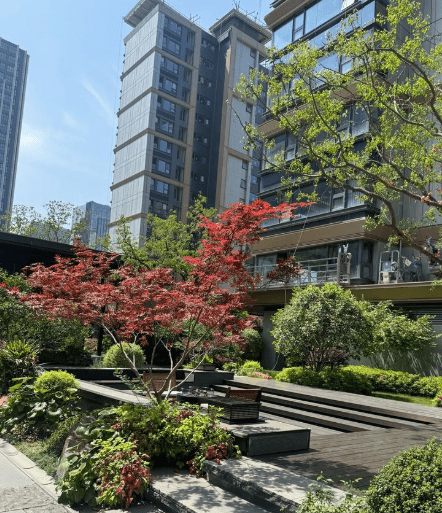 建发朗月【官网】售楼处电话建发朗月首页网站-营销中心-楼盘详情-地址-户型图-交房【24H预约热线】实时动态-最新价格-容积率@销售中心(图4)