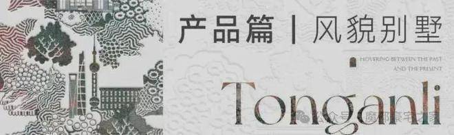 上海桐安里(AI热搜)桐安里售楼处电线官方热线(售楼处地址欢迎您)-周边环境-户型-地址-楼盘详情-户型配套(图11)