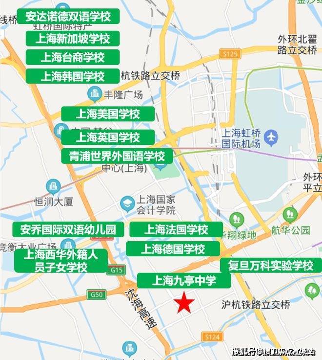 上海九亭地图图片