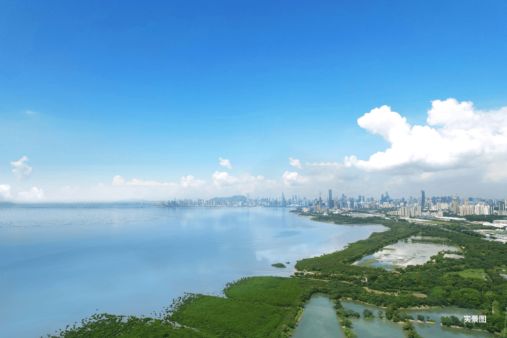 深圳中洲湾迎海(首页网站)2024最新中洲湾迎海售楼处电话-周边配套
