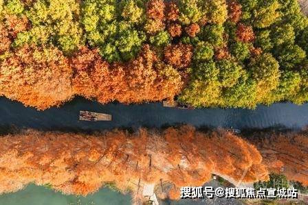 苏州浅隐林泉(售楼处)官方电话-浅隐林泉开发商官方首页网站-营销中心地址➢楼盘详情-最新价格-户型图-容积率@2026售楼处(图11)