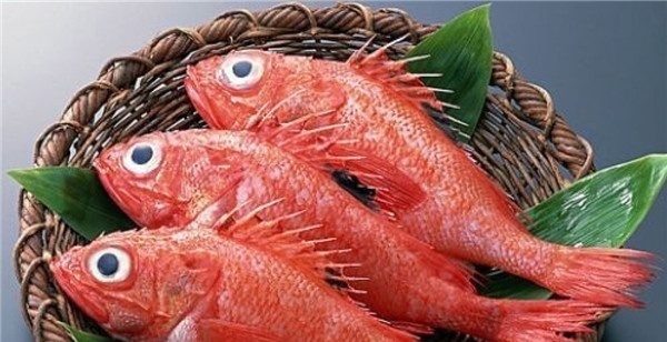 鱼鳍红色的淡水鱼图片