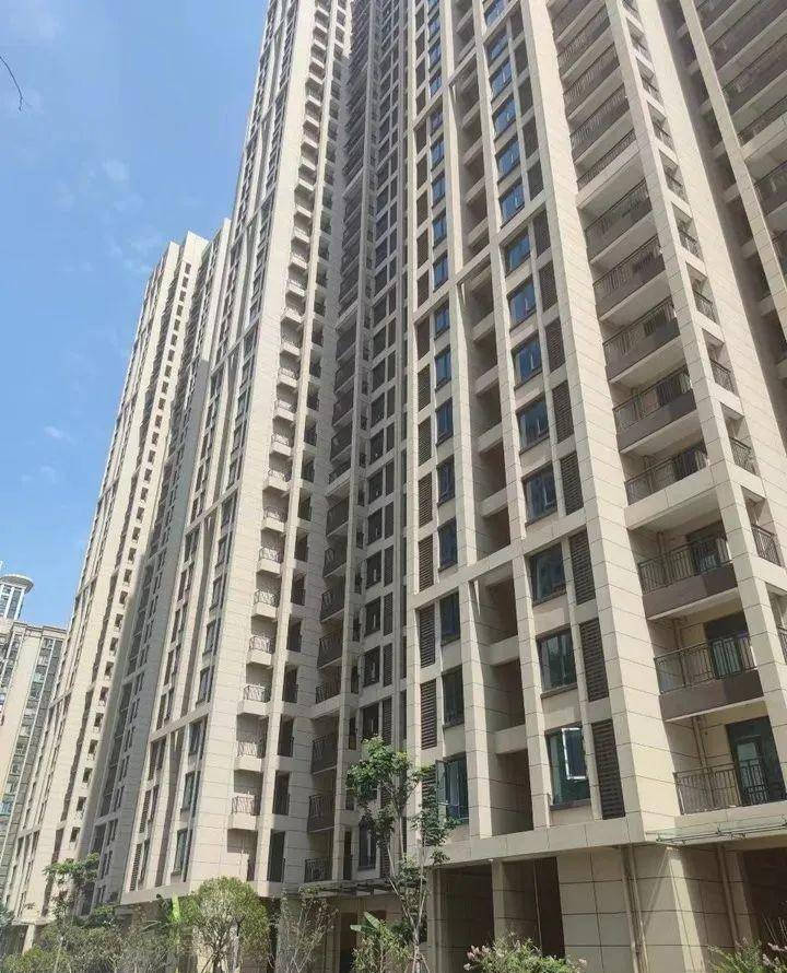 武汉南湖缤购城商业部分,8.65亿起拍-武汉搜狐焦点