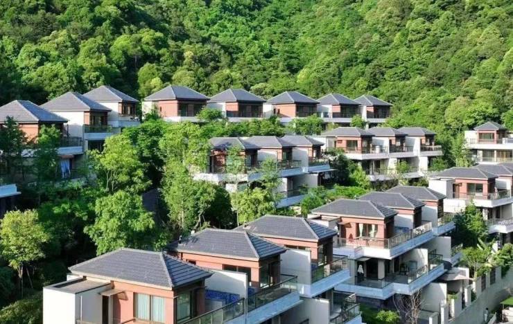 安吉别墅悠隐南山(悠隐南山)楼盘详情-悠隐南山房价-户型-容积率-小区
