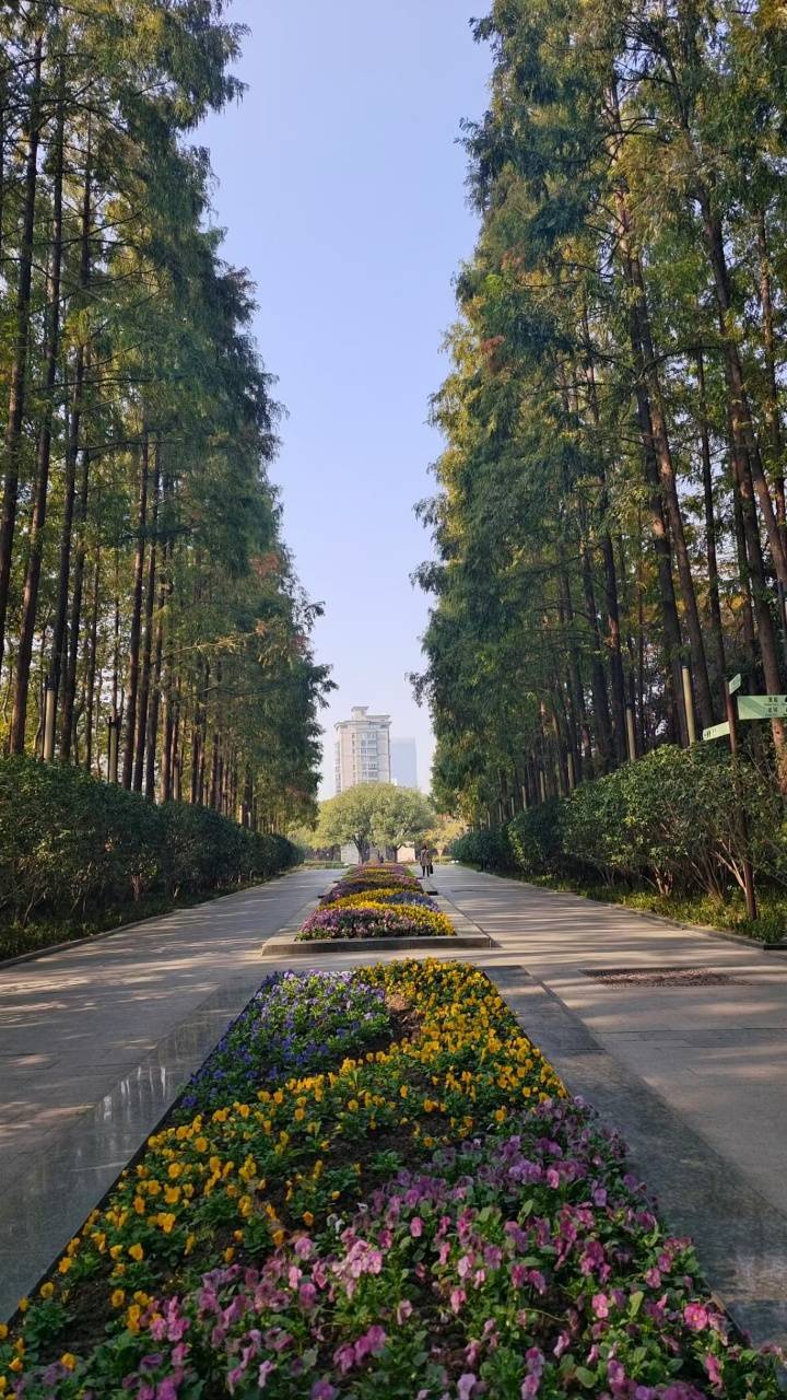 更有延安公園·復興公園·廣場公園·淮海公園等公園環繞讓您在內環有