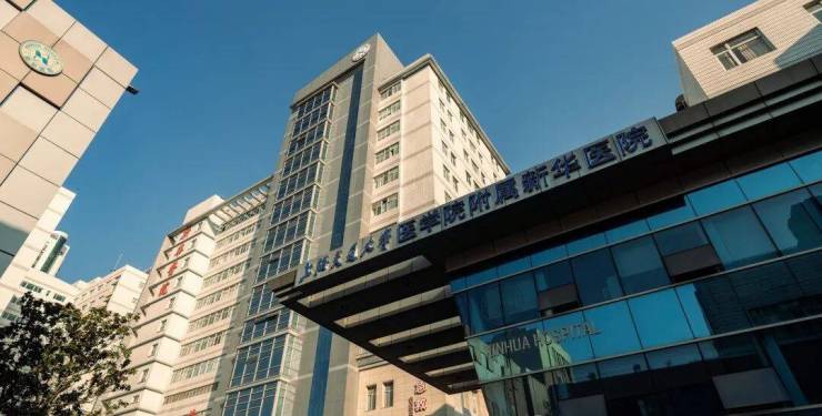 桐安里售楼处官方网站 - 桐安里销售中心 - 环境户型价格地址楼盘详情配套电话交房时间售楼处电话(图13)