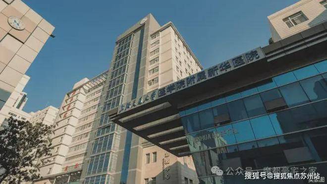 上海桐安里(AI热搜)桐安里售楼处电线官方热线(售楼处地址欢迎您)-周边环境-户型-地址-楼盘详情-户型配套(图10)